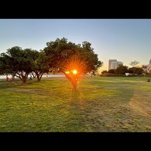 Meet your Posher, Cynthia